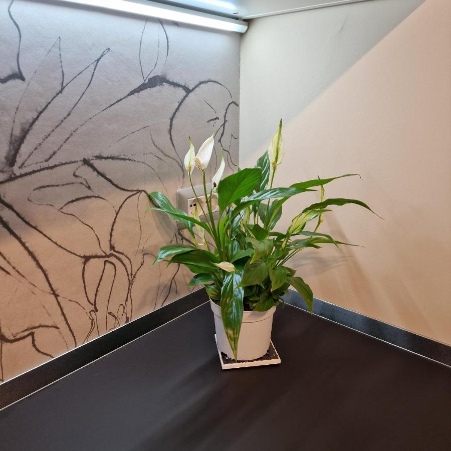 칼리아리 Corso Vittorio 364 아파트 외부 사진
